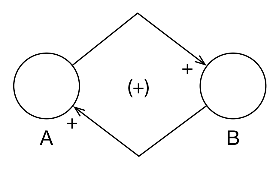 Population Model