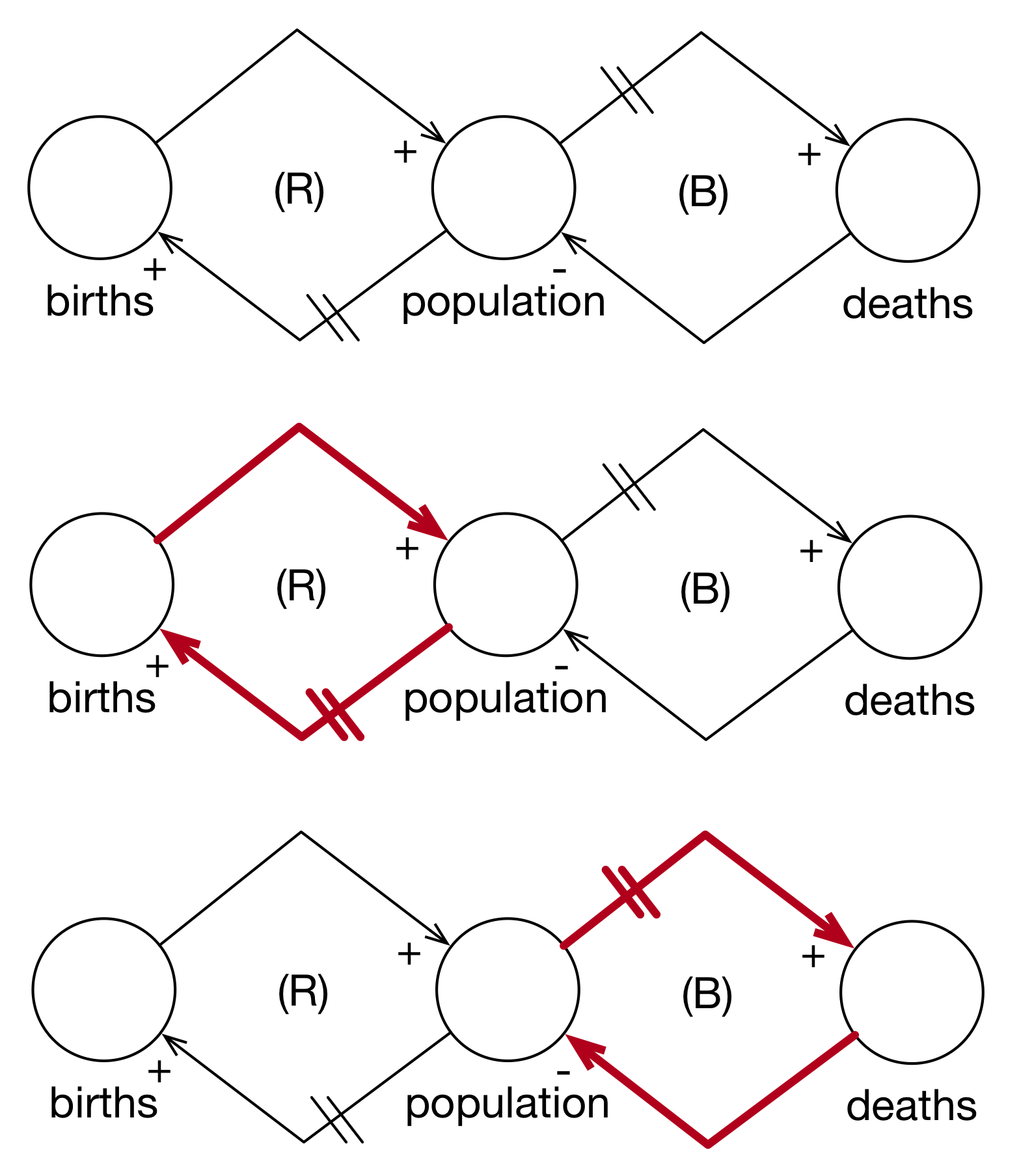 Simple Population Model