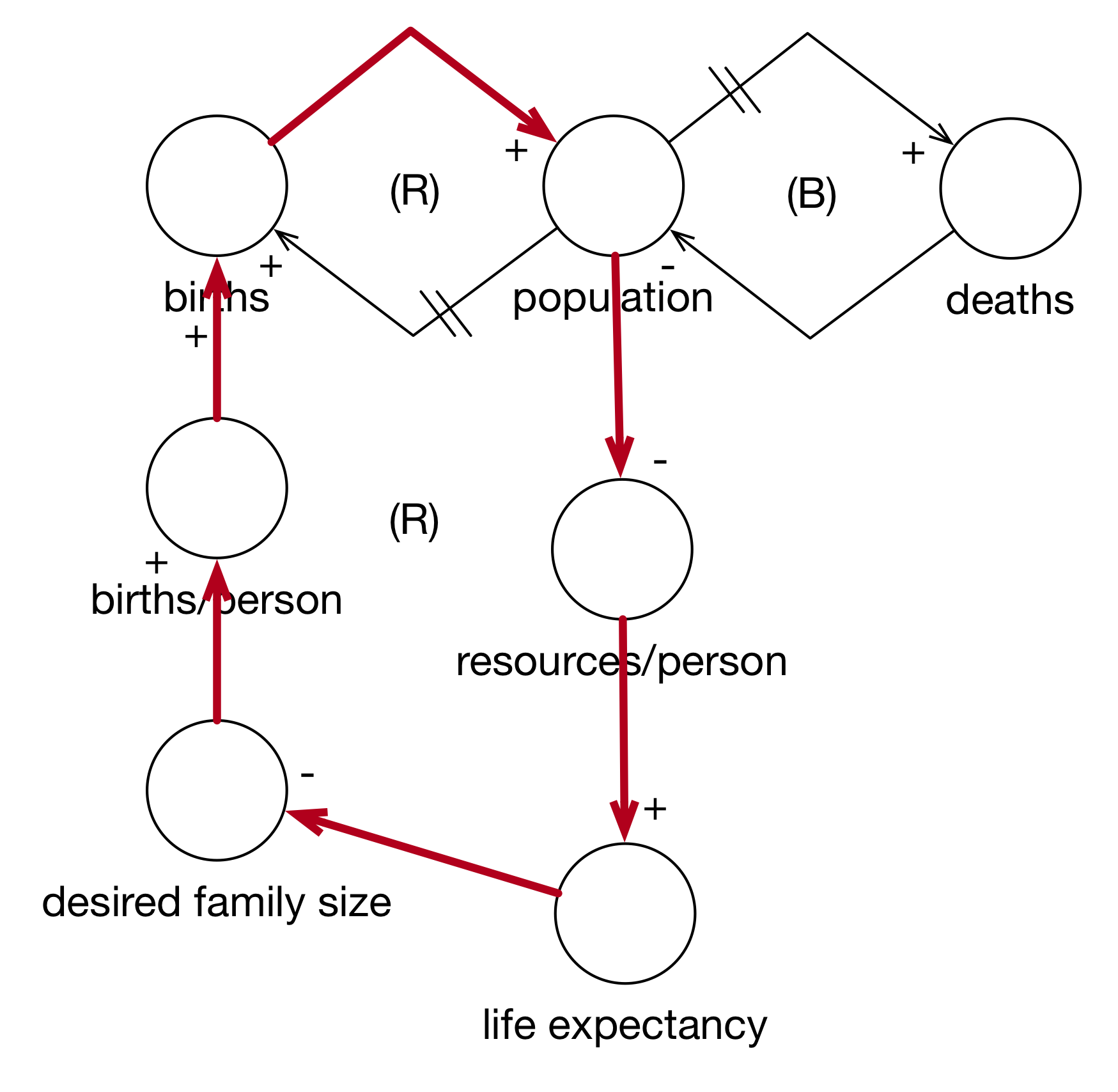 Simulating the Expanded Birth Cycle