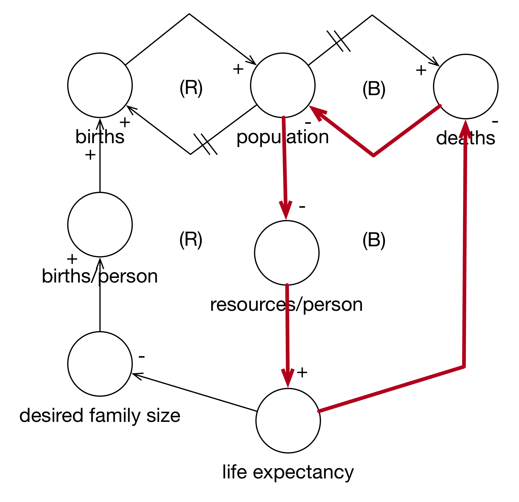 Simulating the Expanded Death Cycle